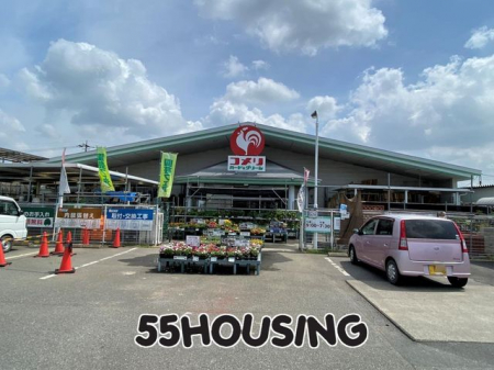 ӊ@Rn[hO[ҊX k10B 770m