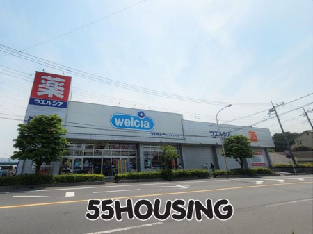 ���ӊ��@�E�G���V�A�@�c���l�X �k��18���B 1400m