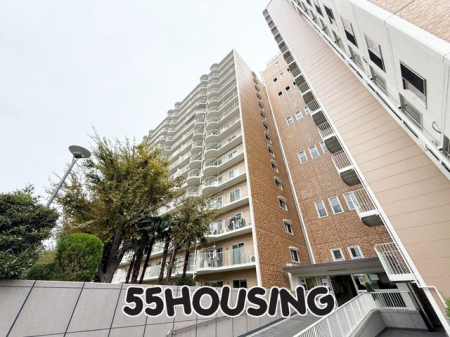 �G���g�����X�@-