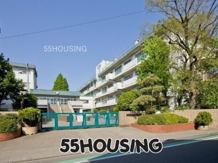 ӊ@܎shawZ k7B 553m