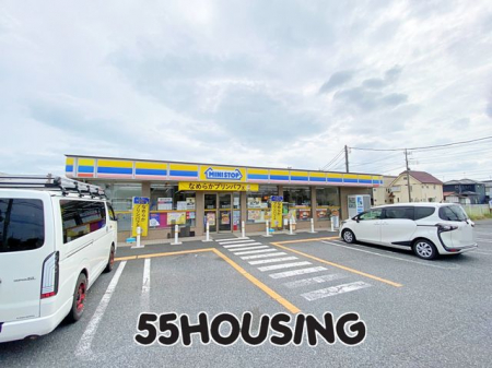 ���ӊ��@�~�j�X�g�b�v�t�����O�c�X �k��7���B 530m