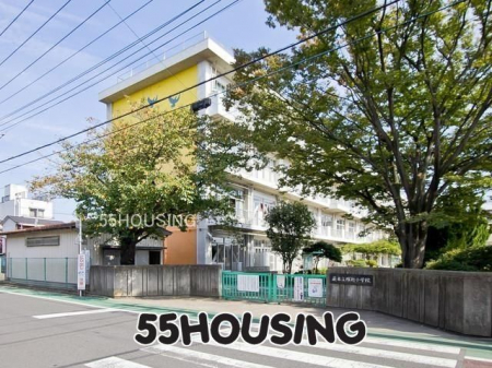 ӊ@nsˉzwZ k3B 230m