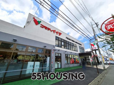 ���ӊ��@�R���f�B�C�C�_�k�t�����X �k��20���B 1556m