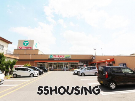 ӊ@TAIRAYAYahaX k9B 650m