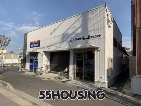 ӊ@ȃ[}`ȃNjbN k3B 170m