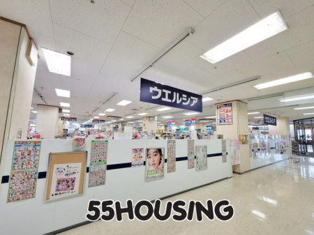 ���ӊ��@�E�G���V�A����{�p�g���A�X �k��5���B 380m