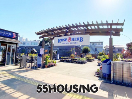 ���ӊ��@DCM�z�[�}�b�N���[�[���n�[�u����X �k��26���B 2040m