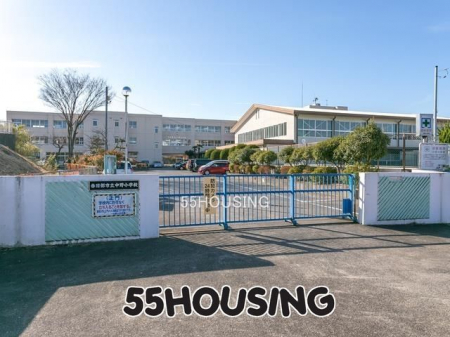 ӊ@ts쏬wZ k4B 264m