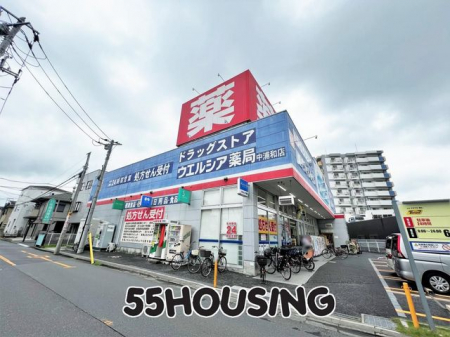 ���ӊ��@�E�G���V�A���Y�a�X �k��8���B 610m