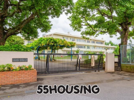 ӊ@ts{쏬wZ k7B 505m