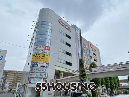 ���ӊ��@�N�b�L�[�v���U �k��12���B 820m