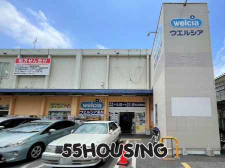 ���ӊ��@�E�G���V�A�t�����L�t�X �k��7���B 550m