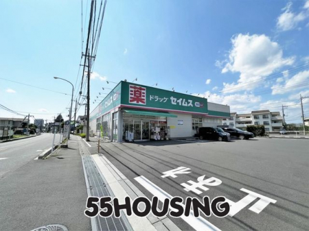 ���ӊ��@�h���b�O�Z�C���X�Y�a�؍�X �k��7���B 516m