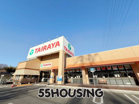 ���ӊ��@TAIRAYA�{�������X �k��13���B 1030m