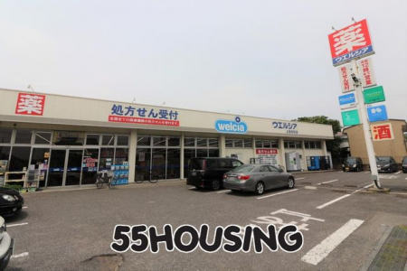 ���ӊ��@�E�G���V�A����{���X �k��7���B 550m