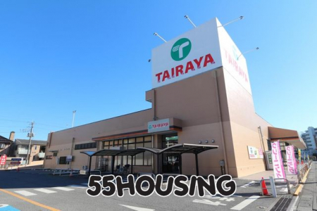 ���ӊ��@TAIRAYA�t���������X �k��4���B 290m