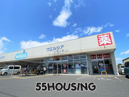 ���ӊ��@�E�G���V�A�����X �k��4���B 260m