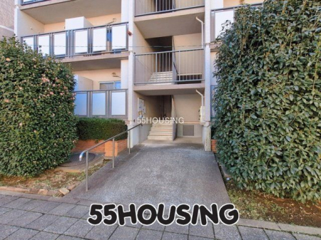 �G���g�����X�@-