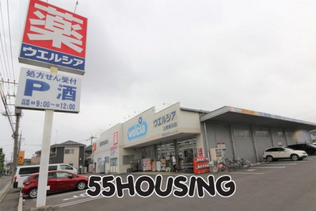 ���ӊ��@�E�G���V�A����t���X �k��7���B 500m