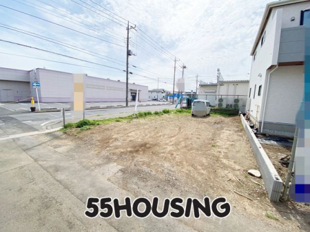 ���n�y�n�ʐ^�@-