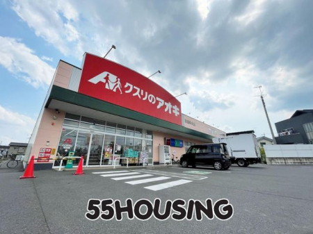 ���ӊ��@�N�X���̃A�I�L�I�������X �k��6���B 480m