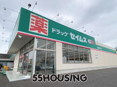 ���ӊ��@�h���b�O�Z�C���X�����˖ؓX �k��5���B 342m