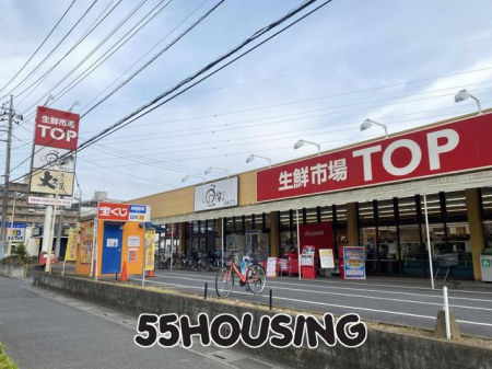 ���ӊ��@���N�s��TOP�t�����X �k��1���B 50m