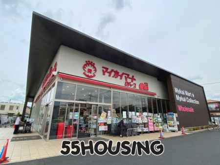 ���ӊ��@�}�C�J�C�}�[�g����X �k��15���B 1130m