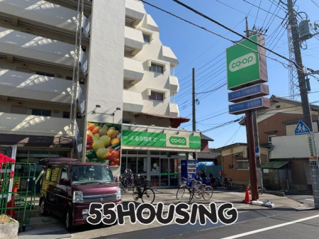 ���ӊ��@�~�j�R�[�v�̉ƓX �k��8���B 600m