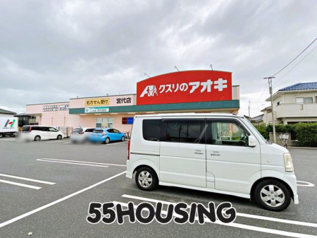 ���ӊ��@�N�X���̃A�I�L�{��X �k��6���B 450m