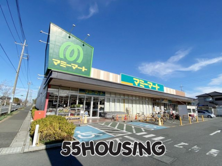 ���ӊ��@�}�~�[�}�[�g�����c�X �k��11���B 850m