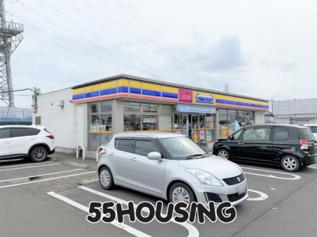 ���ӊ��@�~�j�X�g�b�v�@�c���l�X �k��9���B 700m