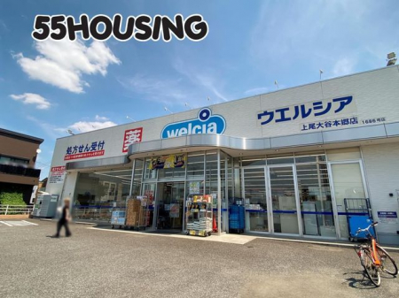���ӊ��@�E�G���V�A�����J�{���X �k��4���B 260m
