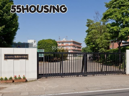 ���ӊ��@�~�j�X�g�b�v��Γ��͓X �k��8���B 590m